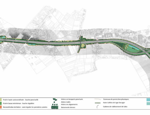 Elargissement de l’autoroute A10 – Orléans Nord