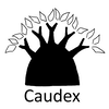 Caudex Logo