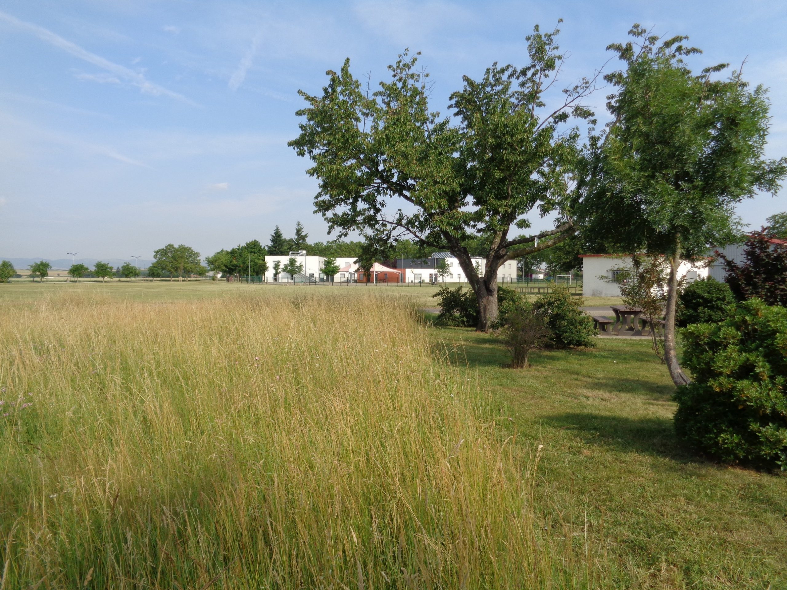 0 – vignette