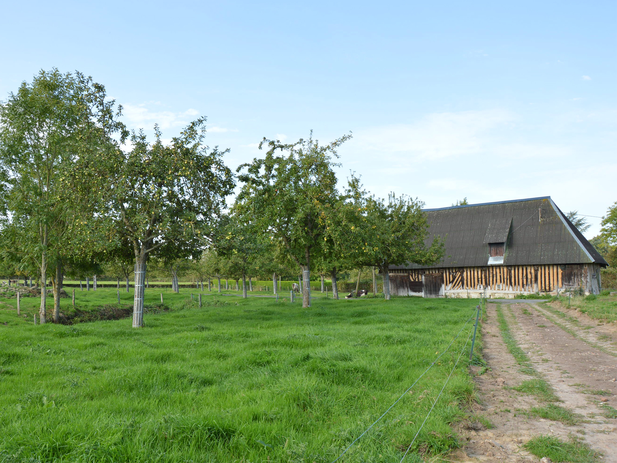 CDX-Cabourg-BANDEAU