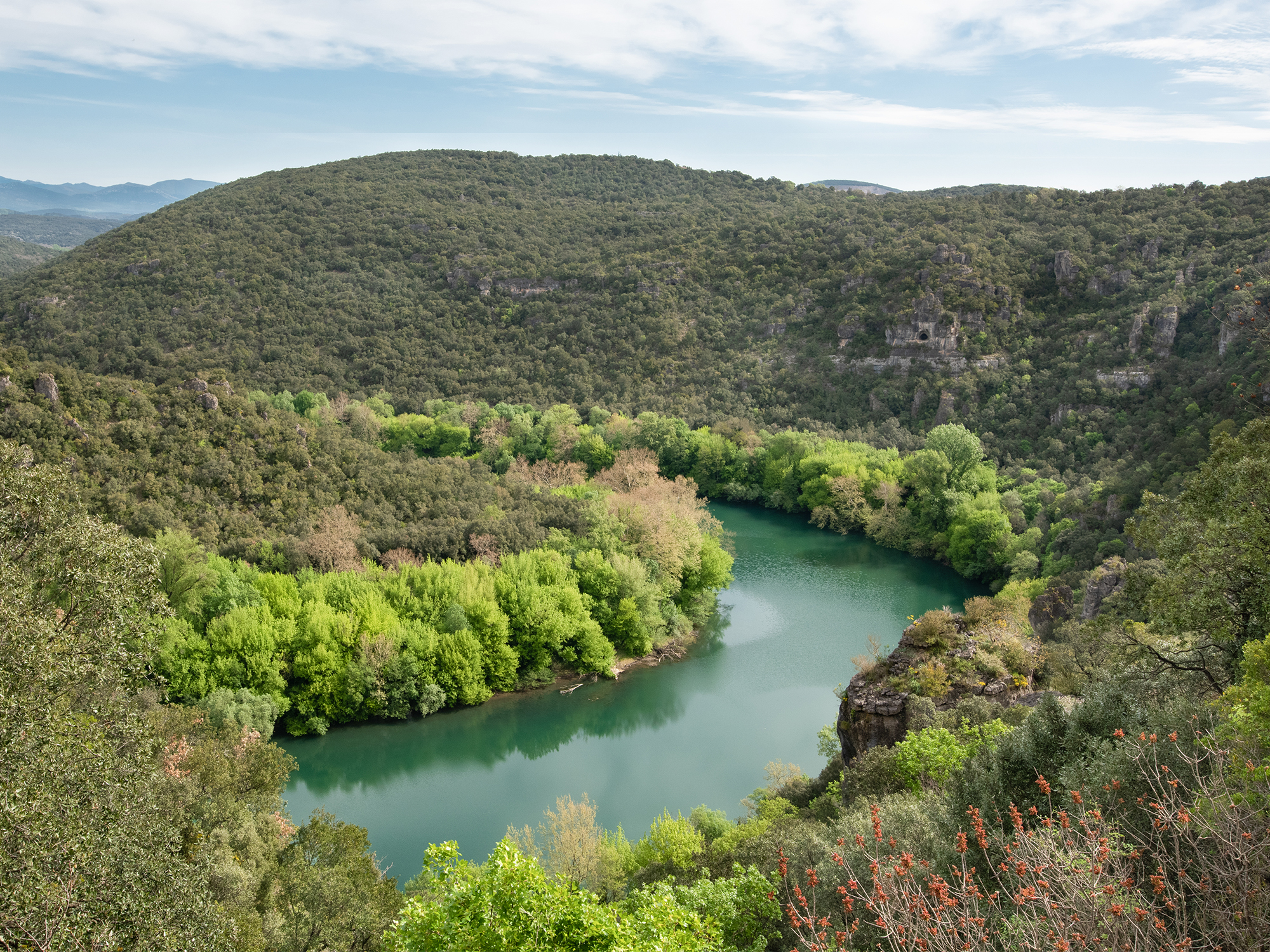 PPHerault-BANDEAU