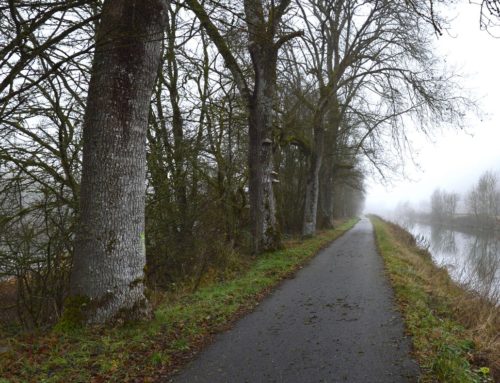 Replantation patrimoniale et résiliente – Véloroute du Canal des Vosges