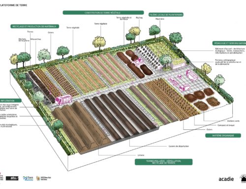 Atelier des Territoires – Tours – Mieux aménager avec des sols vivants