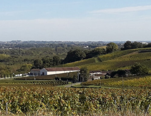 Atelier des territoires session formation-action – Mieux aménager avec des sols vivants à Libourne