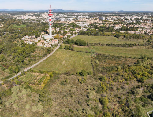 Agriparc Bouisses Grèzes à Montpellier