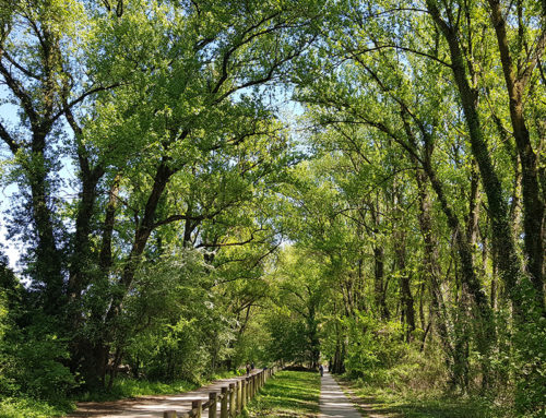 Plan de gestion du parc naturel urbain de la Feyssine à Villeurbanne