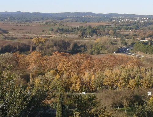 Elaboration d’un projet de grand territoire – Hérault